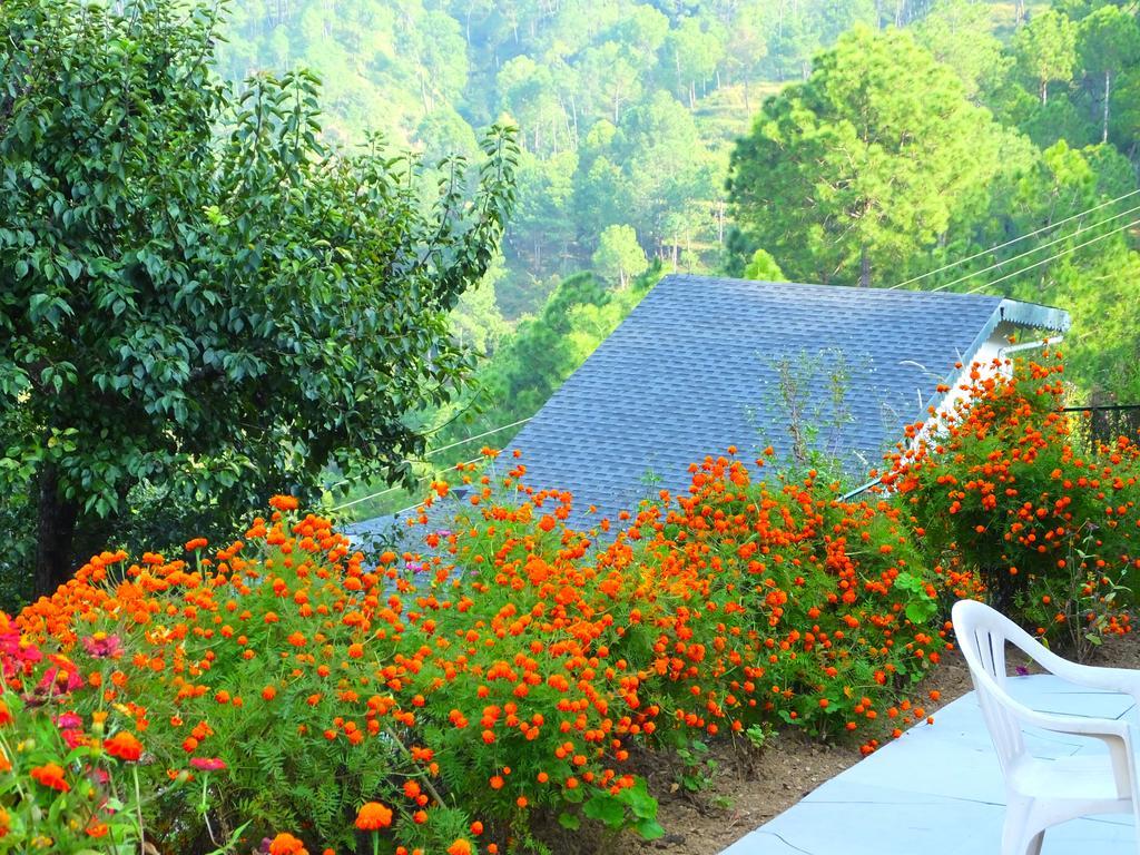Hostie Sharanam - 2Bhk Pvt Mountain Villa, Majkhali Ranikhet Dış mekan fotoğraf